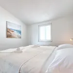 Larus Baška Voda