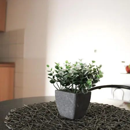 Apartmán Larus Baška Voda
